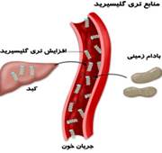 سطح کلسترول خون وسطح کلسترول خون بالا